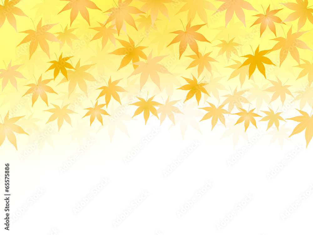 もみじ 紅葉 背景 もみじ 紅葉 背景