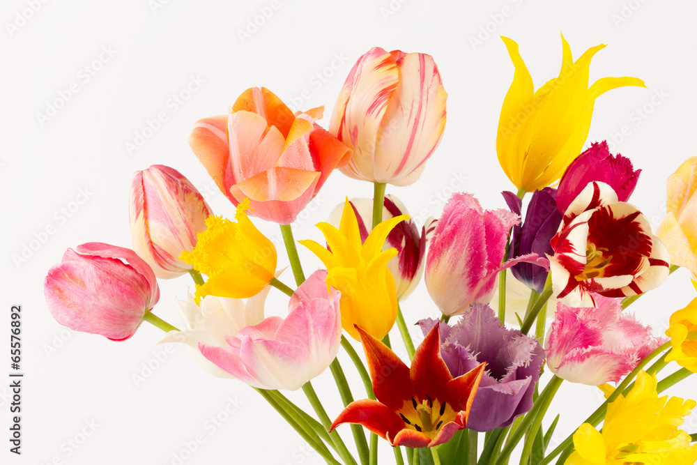 colorful bouquet of fresh tulips