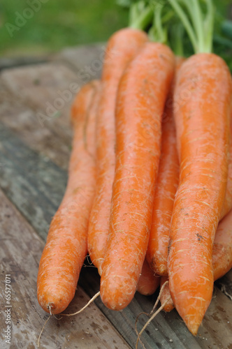 carottes