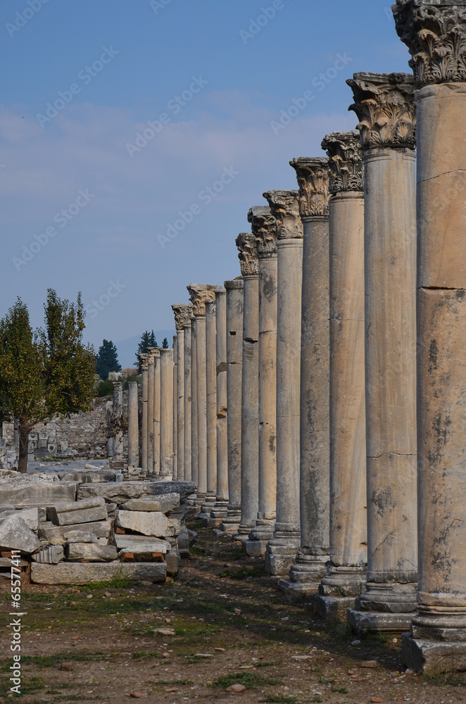 Ruins of Colonnade Street in Ephesus, Turkey Ruins of Colonnade Street in Ephesus, Turkey