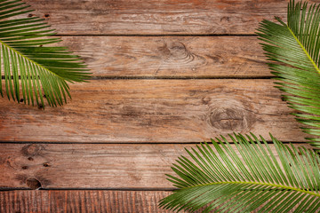 Palm tree leaves on vintage planked wood background