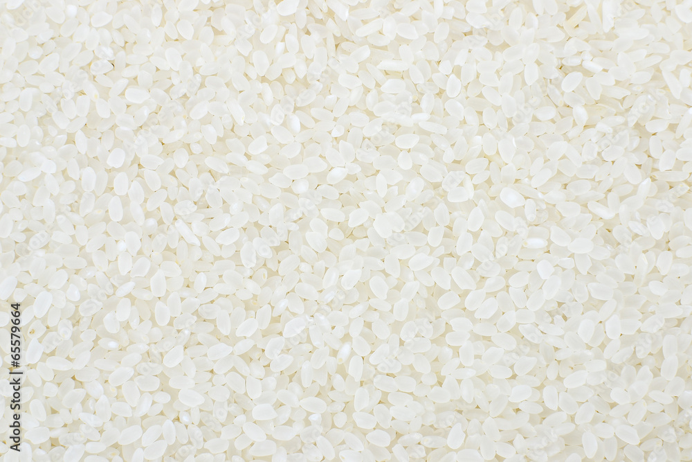 rice rice