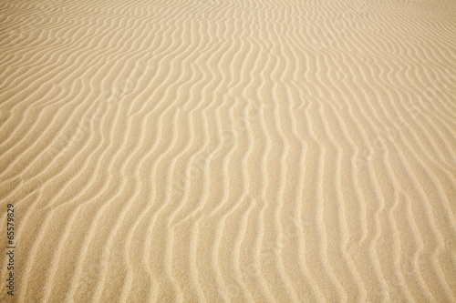 desert's sand pattern background