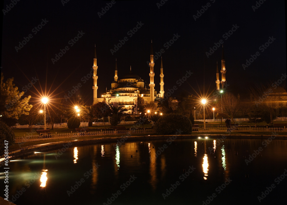Blue mosque  at night in Istanbul