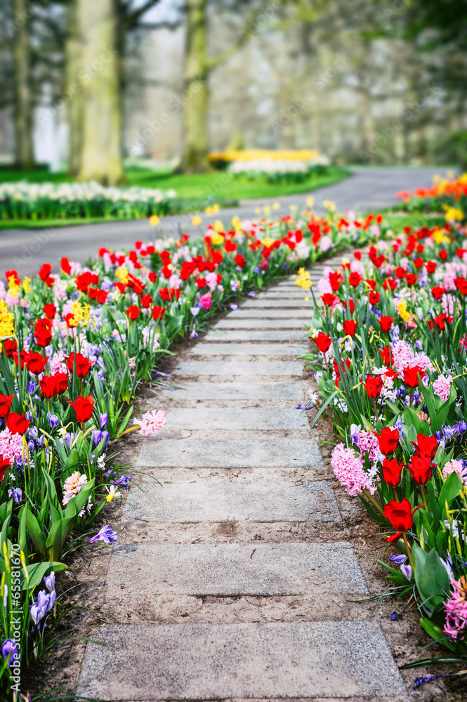 Spring landscape with colorful tulips and hyacinths Spring landscape with colorful tulips and hyacinths