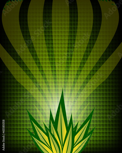 Abstract Aloe