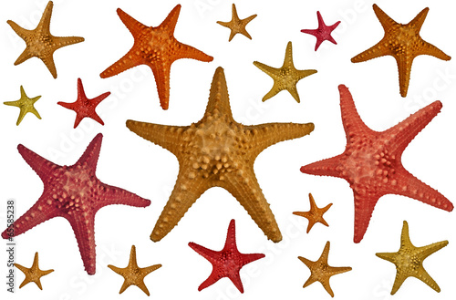 A lot of starfishes isolated on white