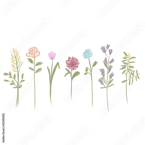 Set of flowers sketch for your design