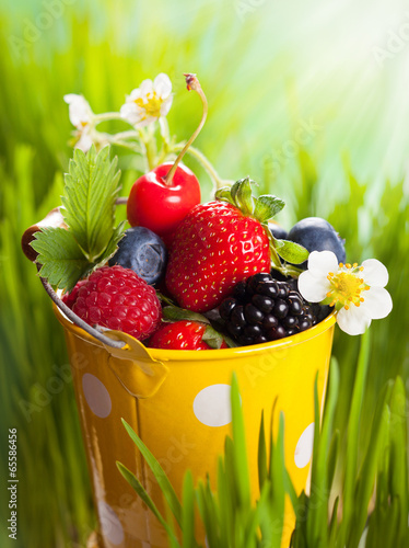 Fototapeta Naklejka Na Ścianę i Meble -  Fresh berries
