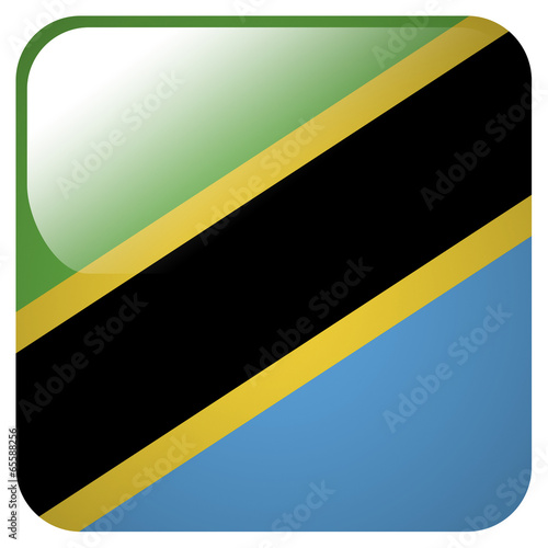 Glossy icon with flag of Tanzania