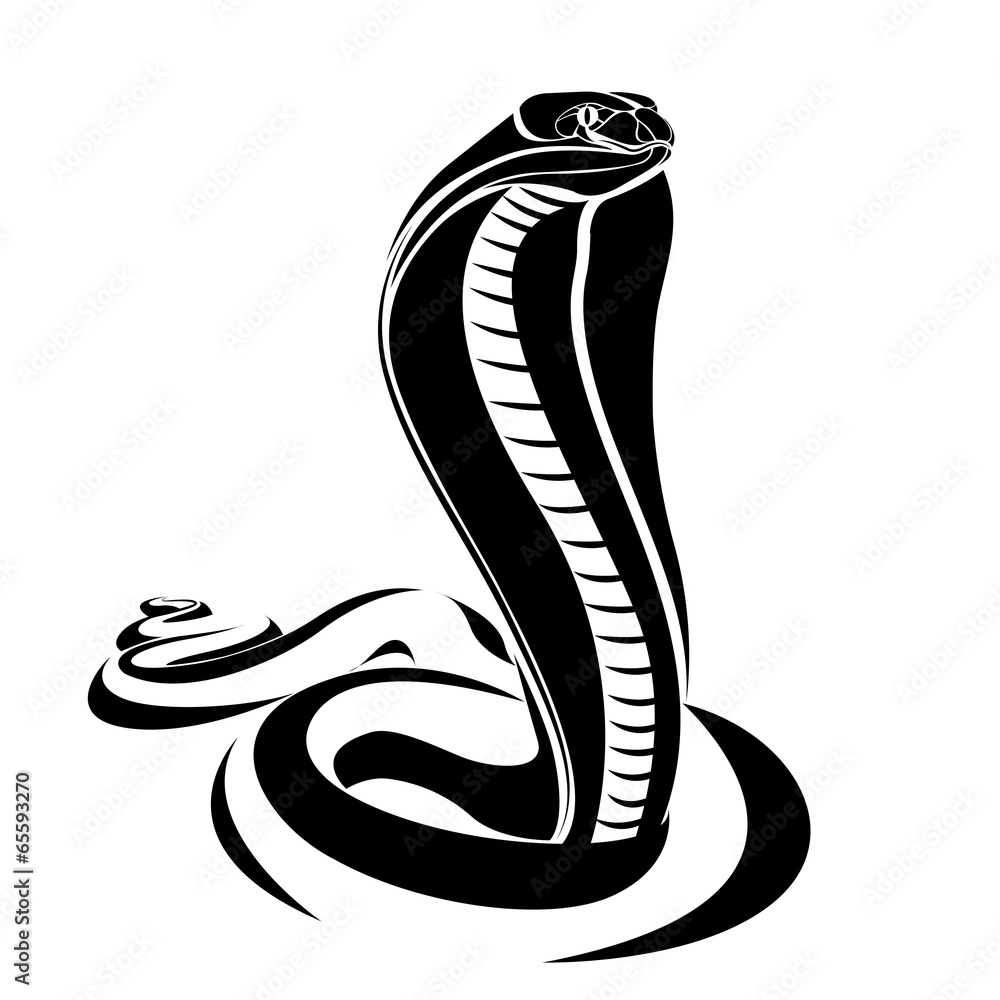 Fototapeta premium snake vector