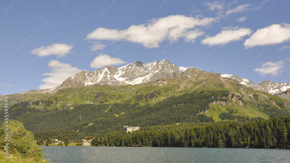 Sils, Maloja, Silsersee, Alpen, Sommer, Graubünden, Schweiz