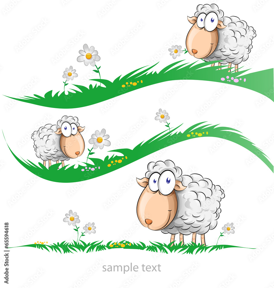 sheep cartoon set on meadow sheep cartoon set on meadow