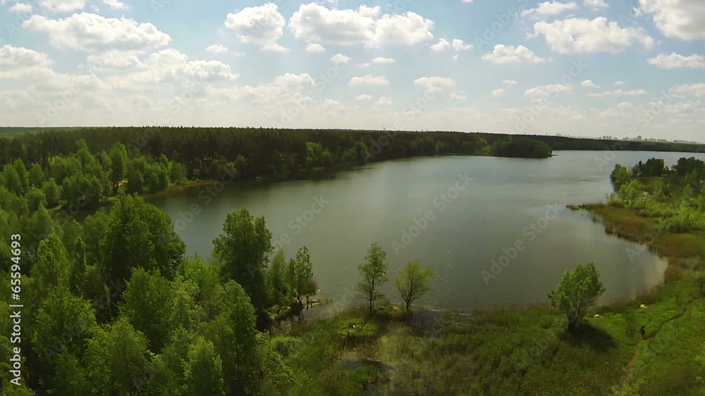 Wood and lake coast in the sunny day. Aerial Wood and lake coast in the sunny day. Aerial