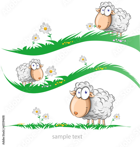 sheep cartoon set on meadow