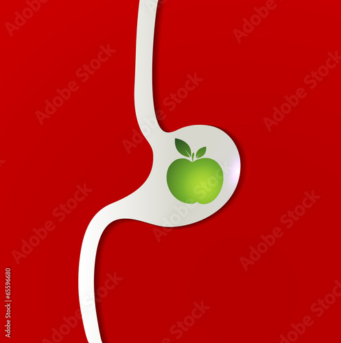 Fruit in the stomach