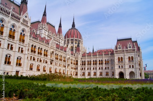 Budapest parliament with grass #65599651