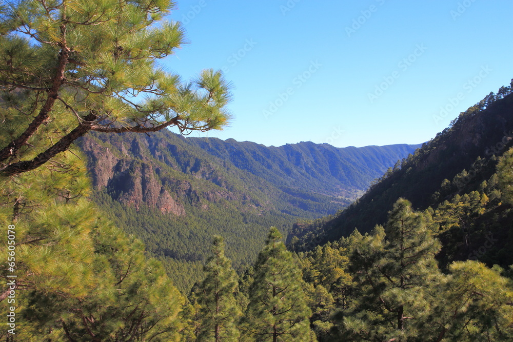 Caldera de Taburiente Nationalpark La Palma Stock Photo | Adobe Stock