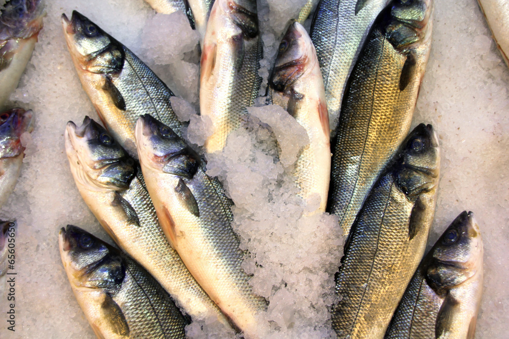 Obraz premium Seafood