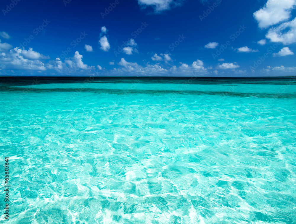 tropical sea tropical sea
