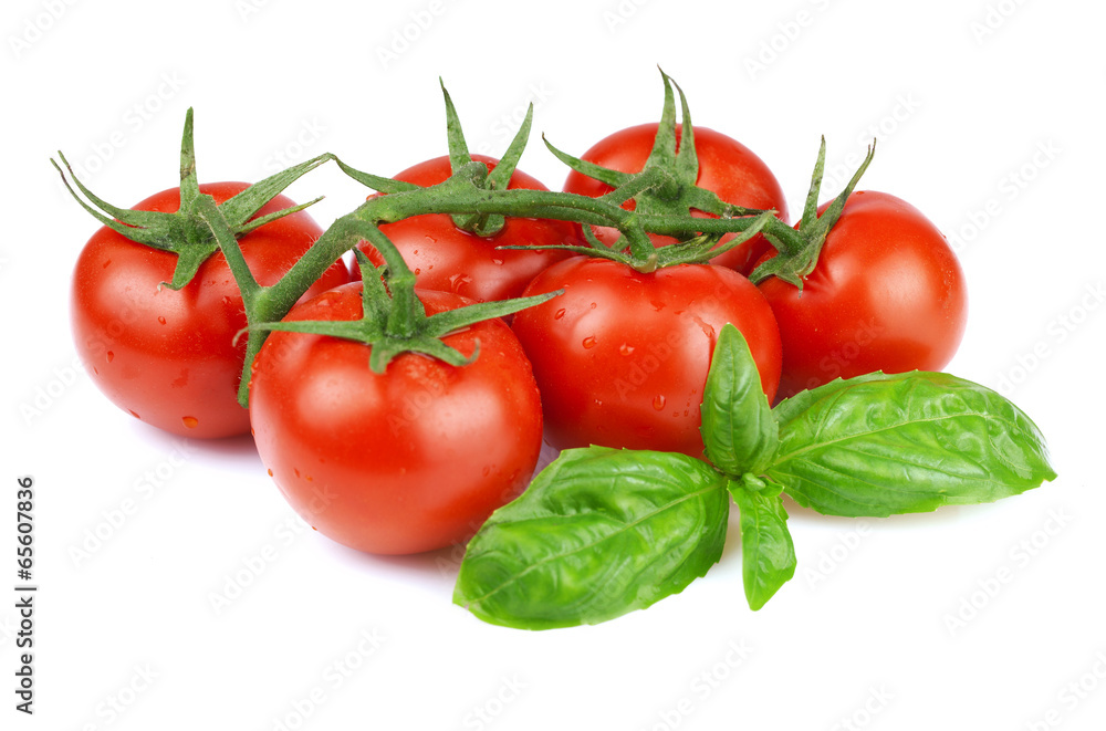 Ripe tomatoes and basil