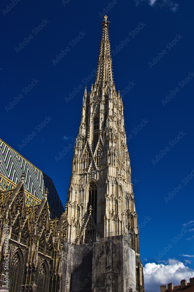 Fototapeta premium Wiener Stephansdom 2