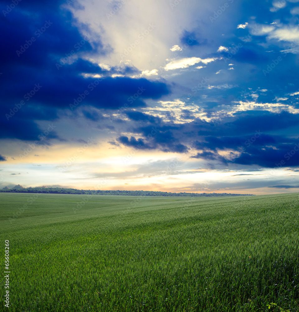 green field