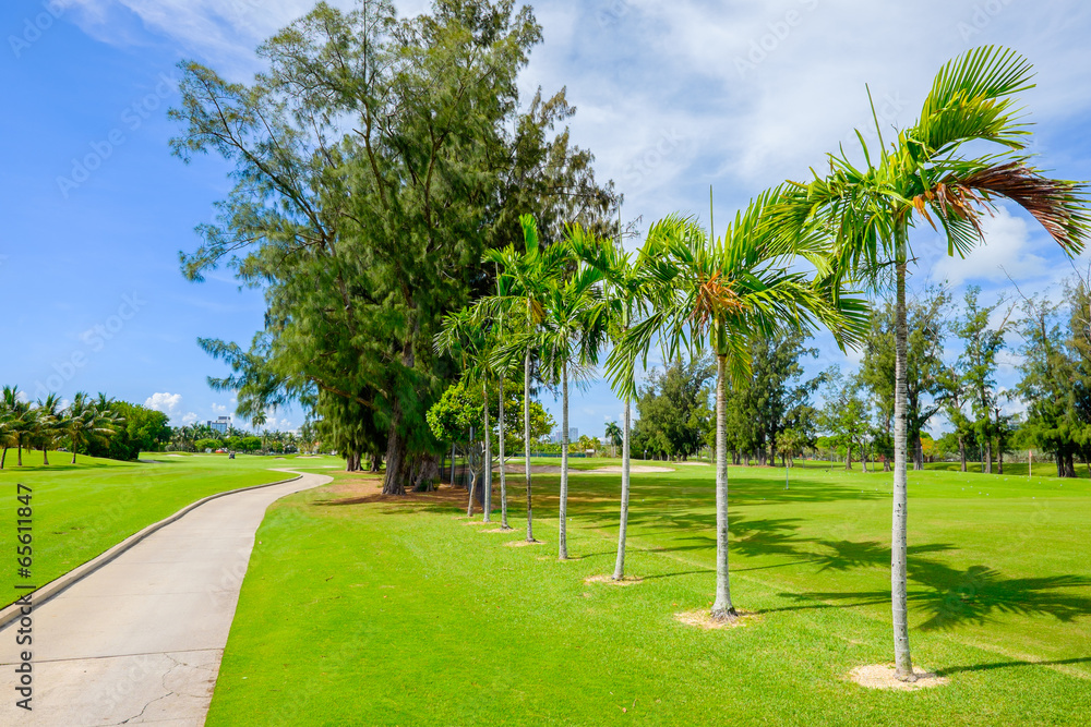 Obraz premium Golf