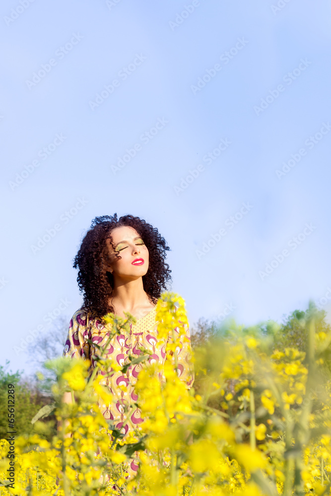 young beautiful girl basking in the sun in the field young beautiful girl basking in the sun in the field