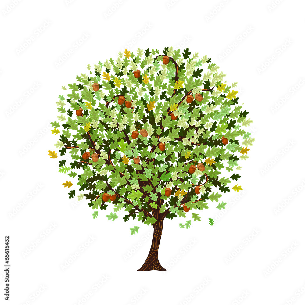 decorative oak tree