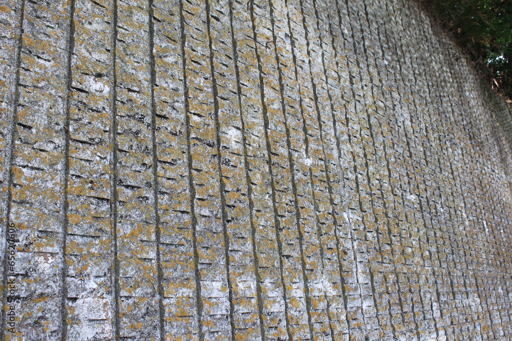 Fototapeta premium 壁