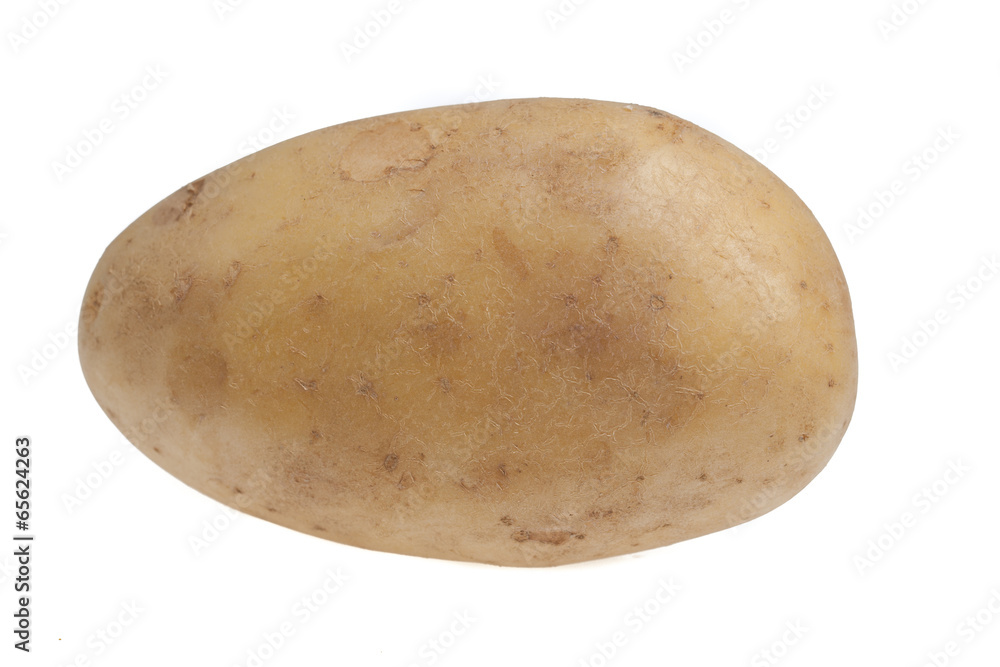 potato isolated on white background potato isolated on white background