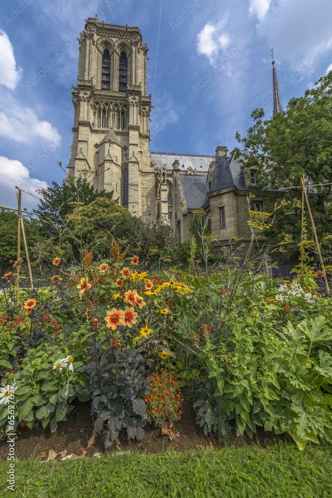 Notre-Dame de paris gardens in a summer sunny day