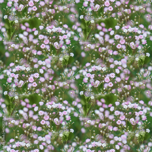 Floral Seamless Pattern