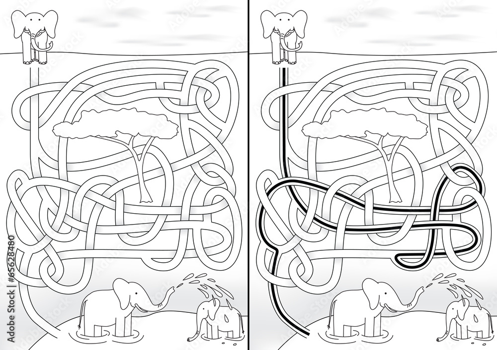 Fototapeta premium Elephant maze