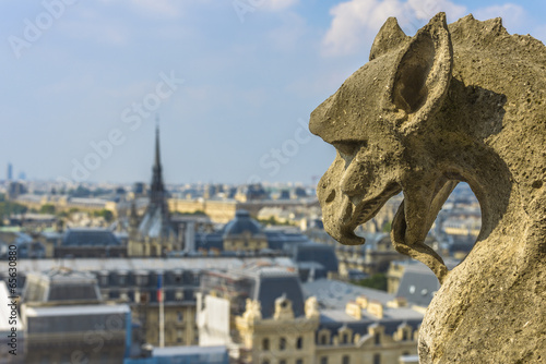 Aerial View of Paris from Notre-dame