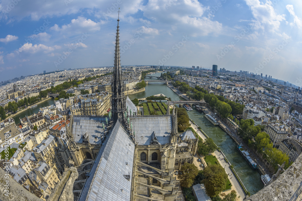 Obraz premium Fish-eye view of Paris from Notre-dame