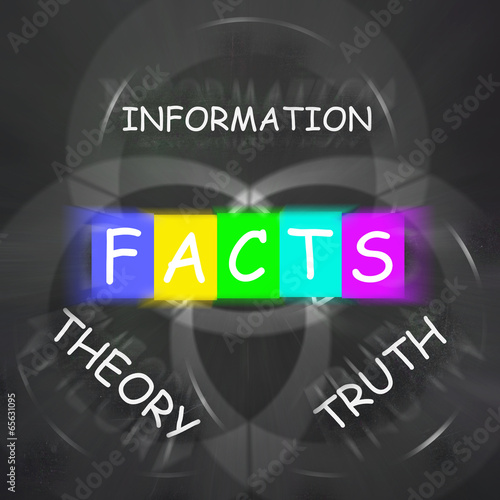 Words Displays to Information Truth Theory and Fact