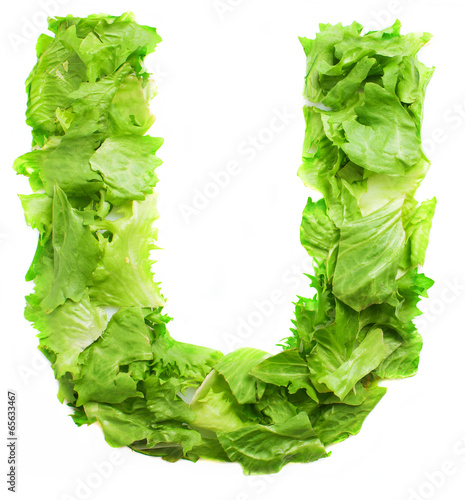 u lettuce letter on a white background