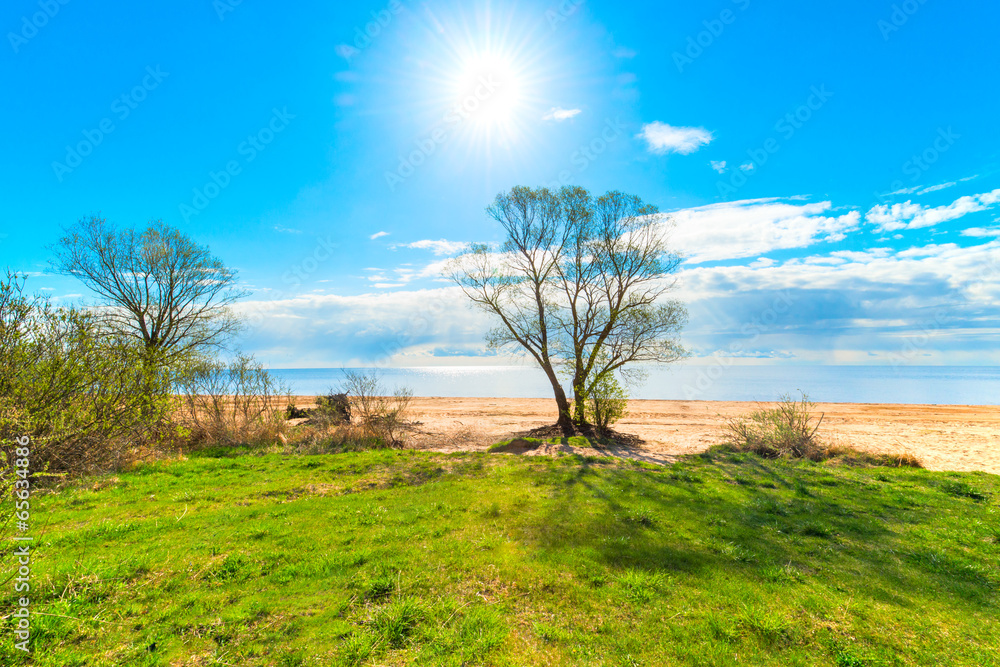 beautiful scenery warm sunny day beautiful scenery warm sunny day