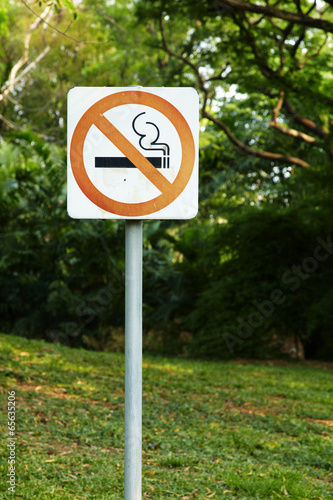 no smoking symbol and tree in natural light