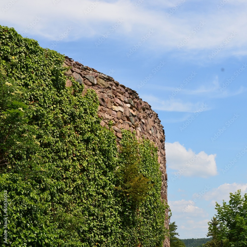 Schlossmauer mit Efeu bewachsen