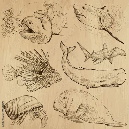 Underwater, Sea Life (vector set no.4) - hand drawn