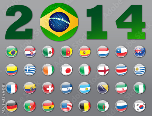 Flags for soccer championship 2014