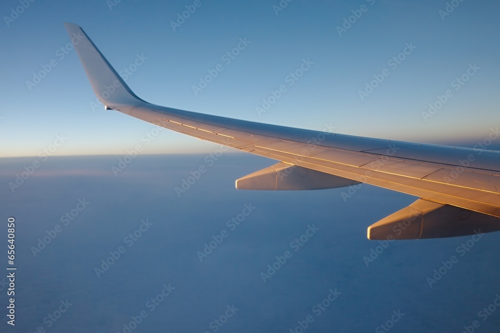 Obraz premium Flying