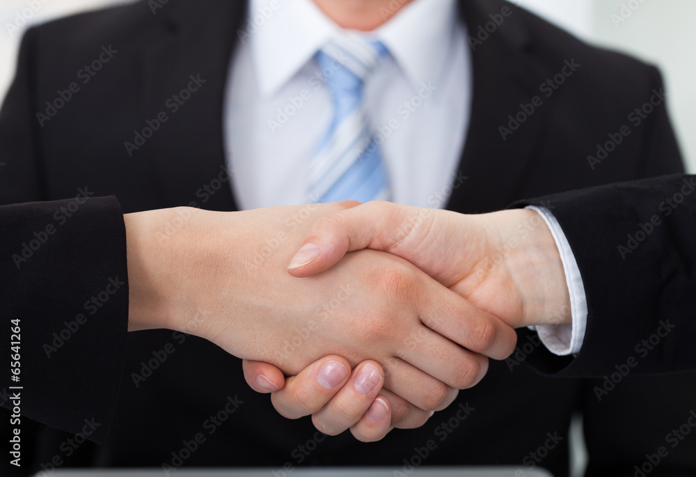 Business Colleagues Shaking Hands Business Colleagues Shaking Hands