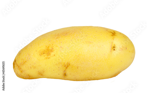 Single yellow raw potato