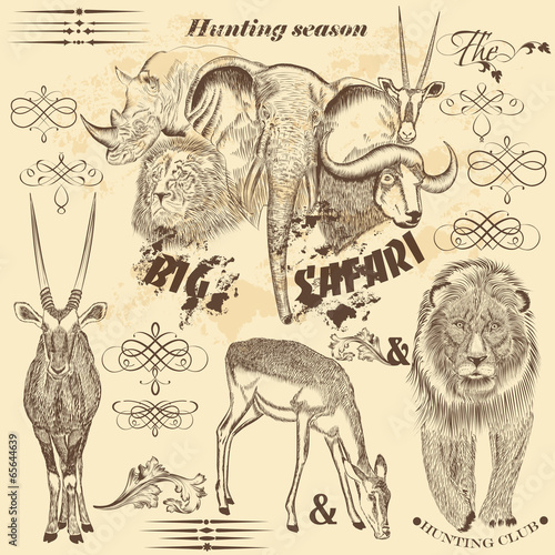 Collection of vector  African safari animals and calligraphic el