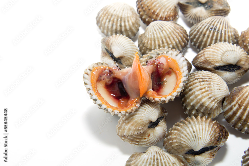 Fresh Shellfish Blood Cockles Fresh Shellfish Blood Cockles