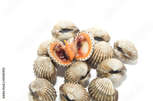 Fresh Shellfish Blood Cockles